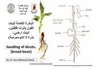 نبات.pdf